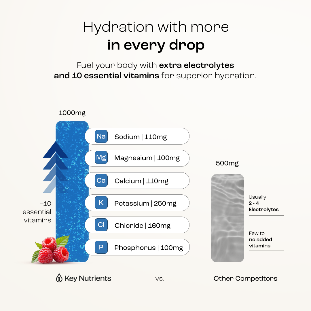 Electrolyte Recovery Plus Powder (Sugar-Free) Key Nutrients