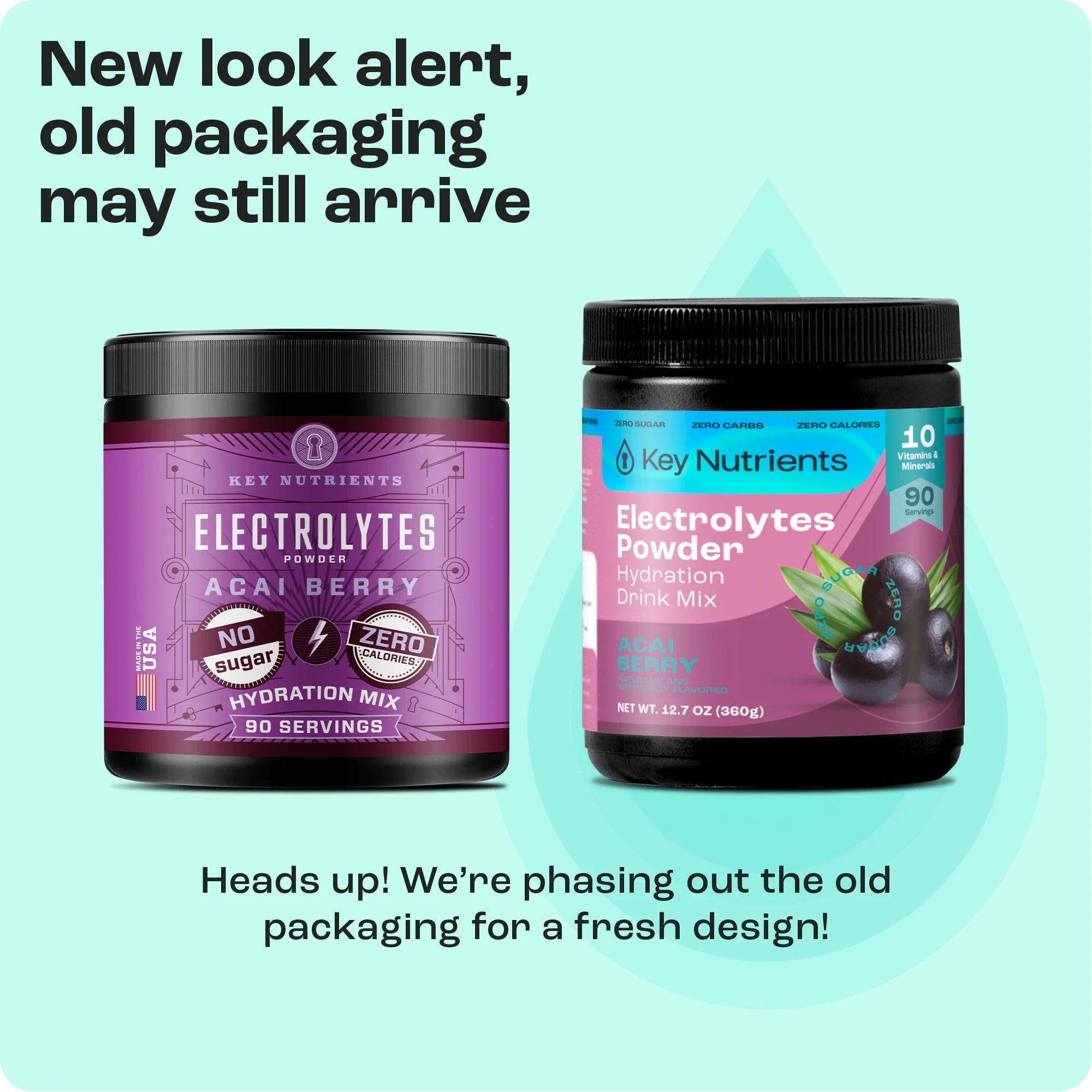 Electrolyte Recovery Plus Powder (Sugar-Free) Key Nutrients